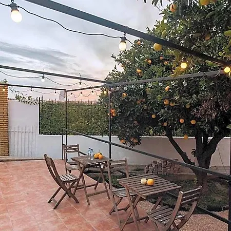 Orange Vibes