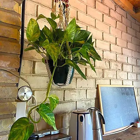 Orange Vibes Hotel Aldaia