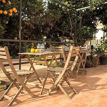Orange Vibes * Aldaia